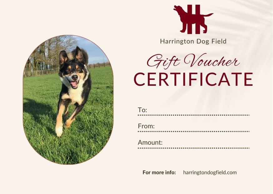 Harrington Dog Field Certificate