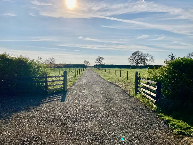 road to back meadow